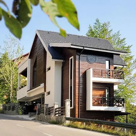 Casa Larisa Antonia Apartments Sinaia Esterno foto