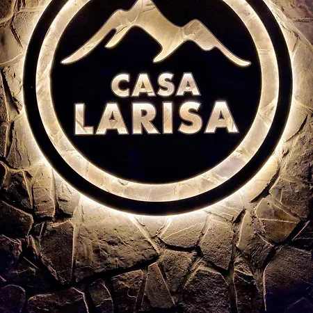 Casa Larisa Antonia Apartments Sinaia Esterno foto
