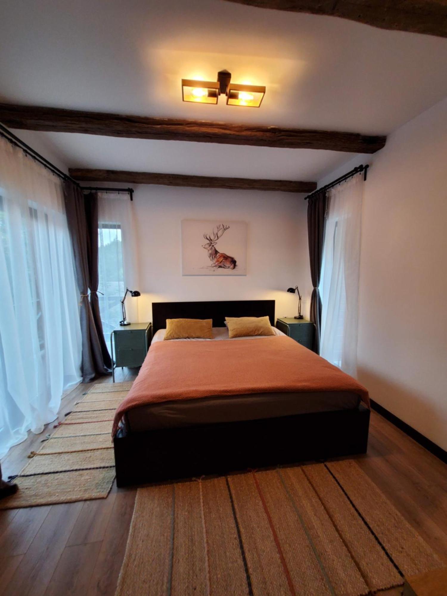 Casa Larisa Antonia Apartment Sinaia